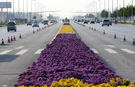 Longest carpet of flowers laid in China