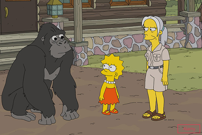 jane goodall in the simpsons