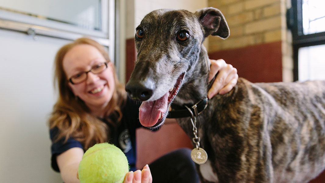 Video: Take a tour of the record-breaking pet shelter, Battersea Dogs & Cats Home