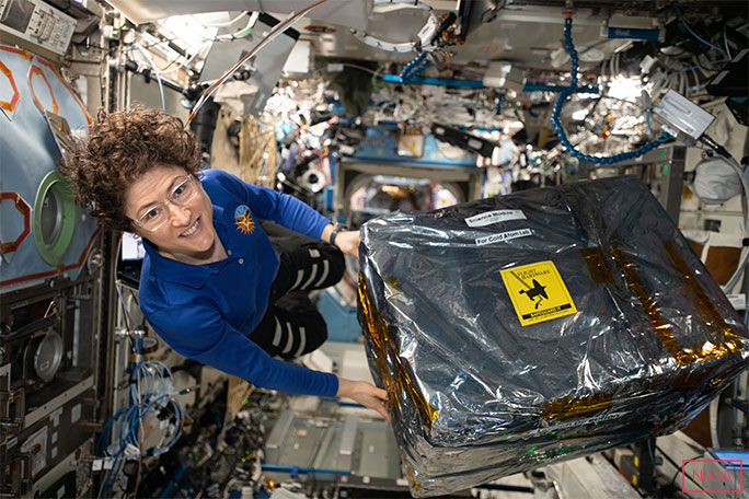 Christina Koch handles science hardware delivered to the ISS by a SpaceX Dragon resupply ship during Expedition 61
