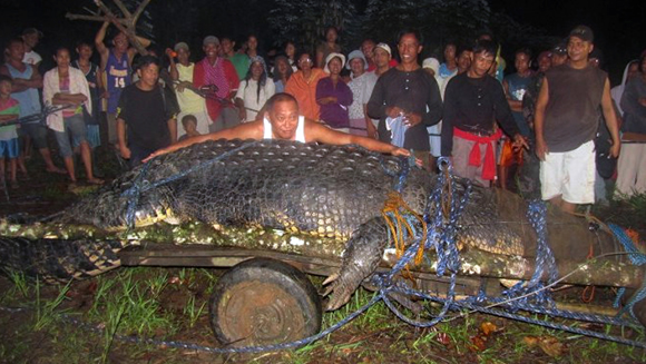 Is this monster crocodile the biggest of all time?