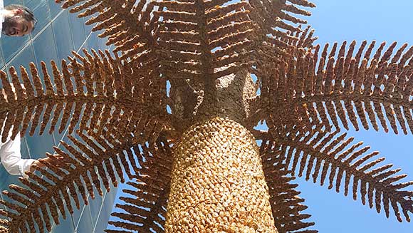 Enormous palm tree made of fruit breaks record at Saudi Marketing Conference