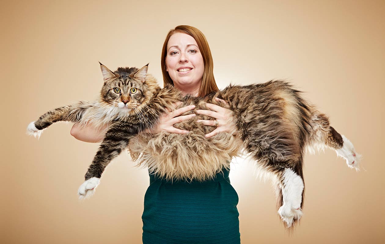 worlds biggest cat