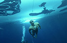 Stig Severinsen sets world record double with pair of daring freedives beneath the ice 