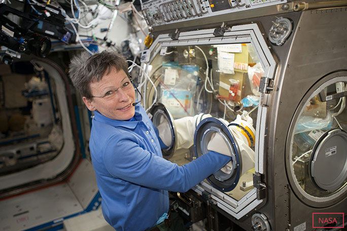 Peggy working with the Microgravity Sciences Glovebox in the Destiny US Laboratory on her last visit to space