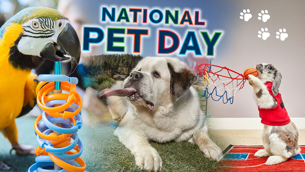 National Pet Day: 8 Adorable Pets Who Have Broken Records 