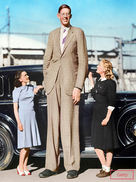 tallest man in the world robert wadlow