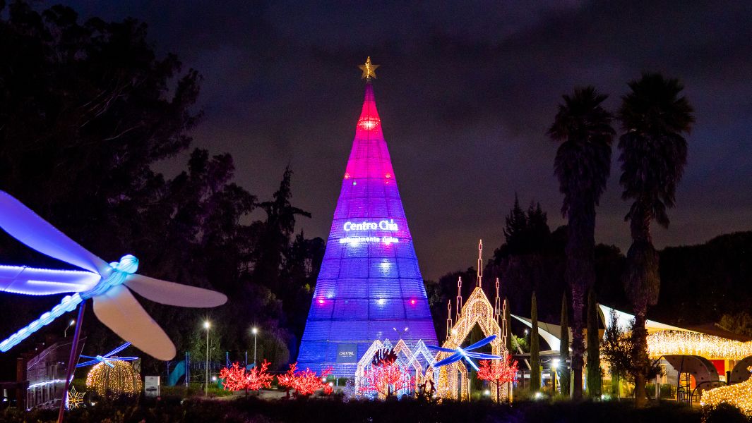 Gigantic Christmas tree is made from more than 90,000 recycled plastic bottles
