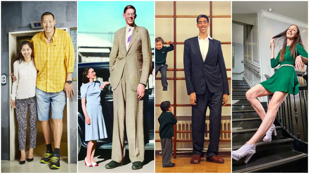 A history of record-breaking giants 100 years after the tallest