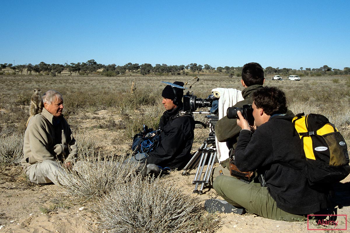 Attenborough is joined by a co-host meerkat in the Kalahari Desert while filming The Life of Mammals series