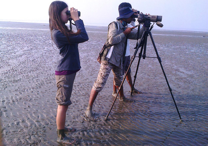 On a survey of the endangered spoonbill sandpiper in Bangladesh in 2015