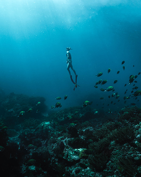 Diver in ocean