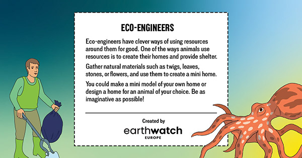 eco-engineers play activity banner