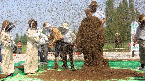 Fearless Chinese Man Covers Entire Body In Bees Guinness World Records Italian Show Guinness