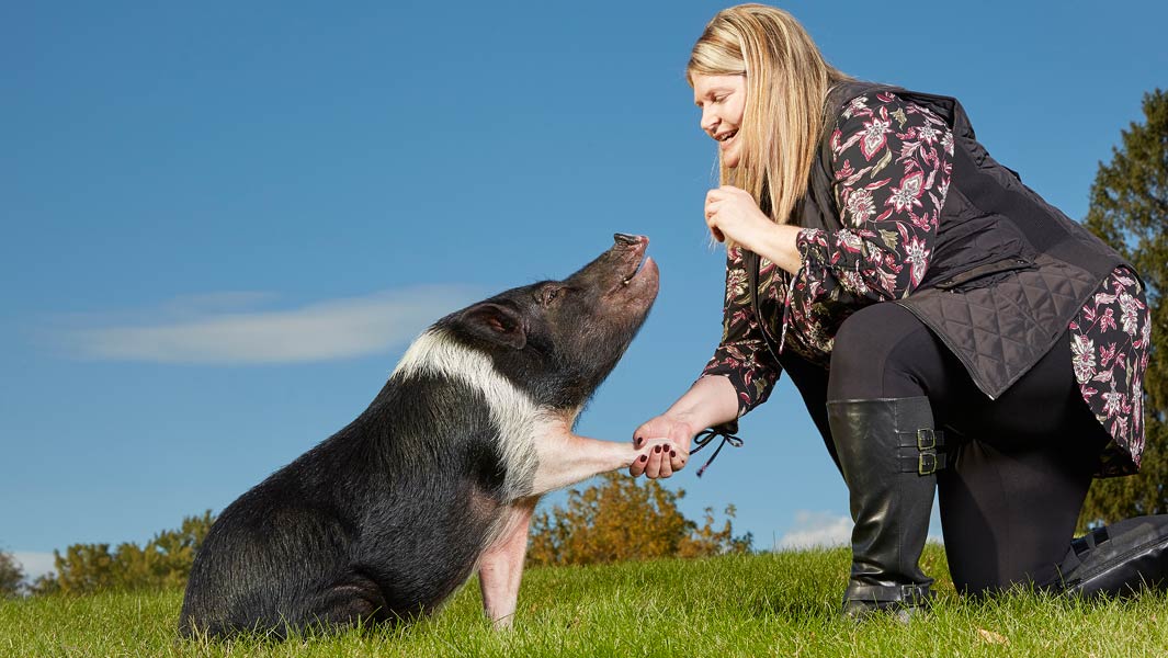 Multi-talented mini-pig hogs the limelight and brings joy to her community