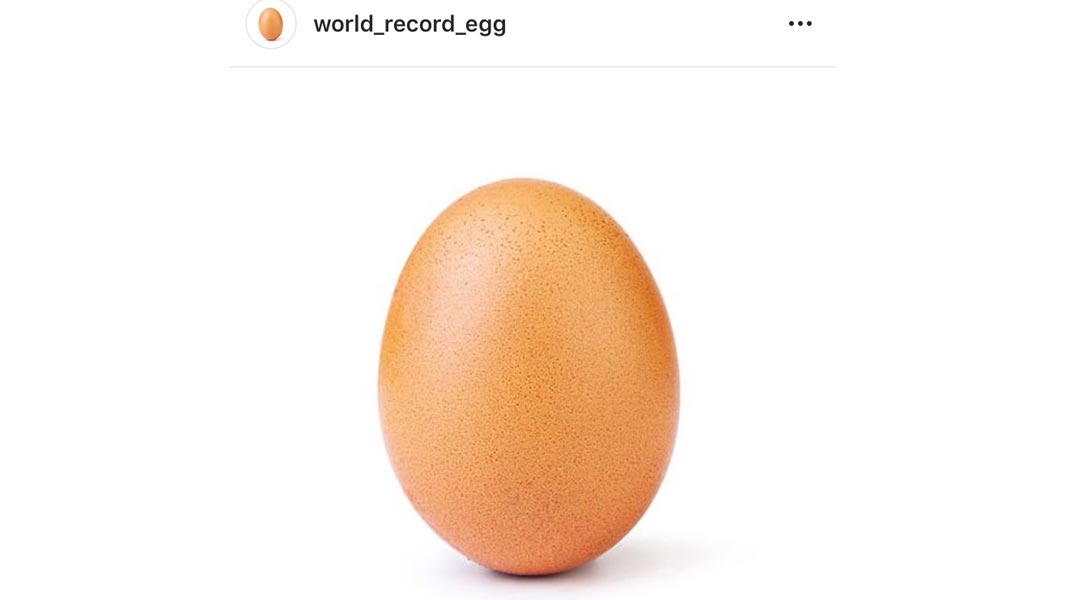 BTS, Nala Cat and world record egg: social media records of 2019