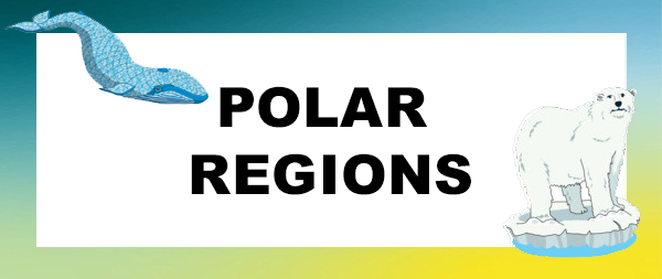 Polar regions banner