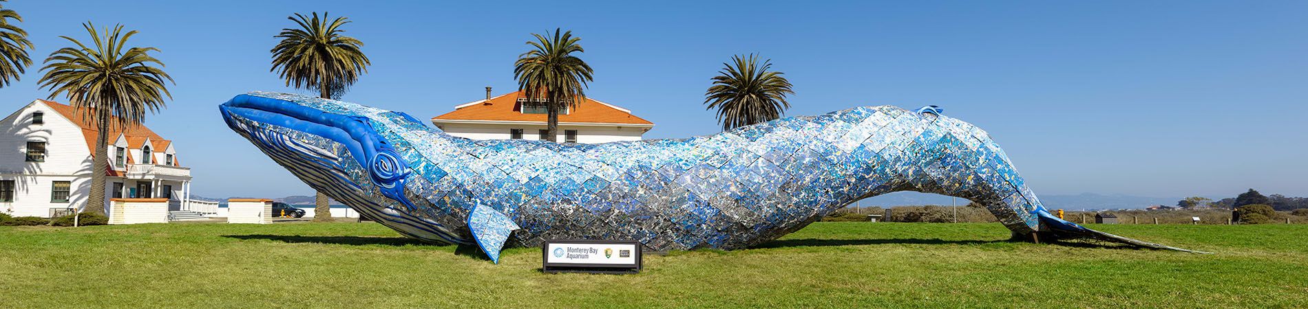 sculpture of whale using recycled plastic
