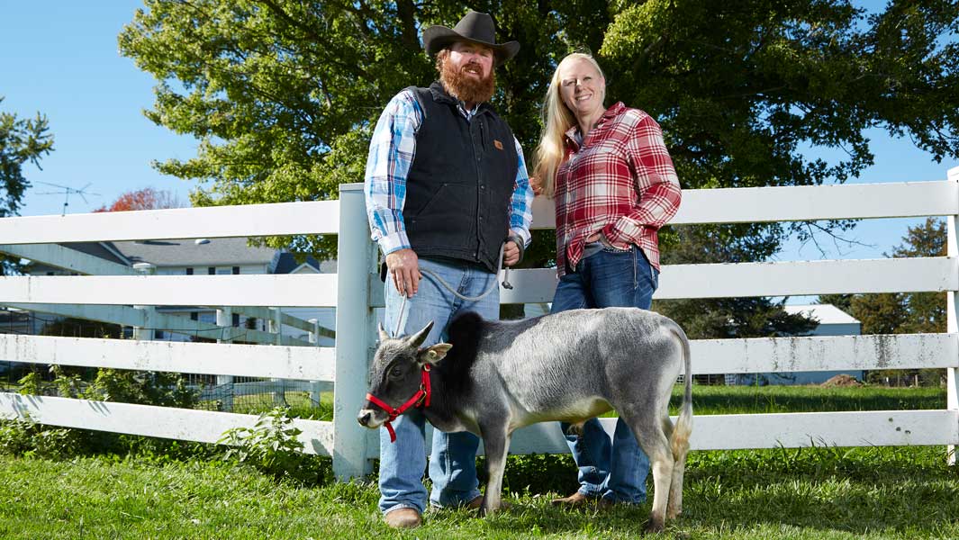 Shortest Bull Humphrey GWR website