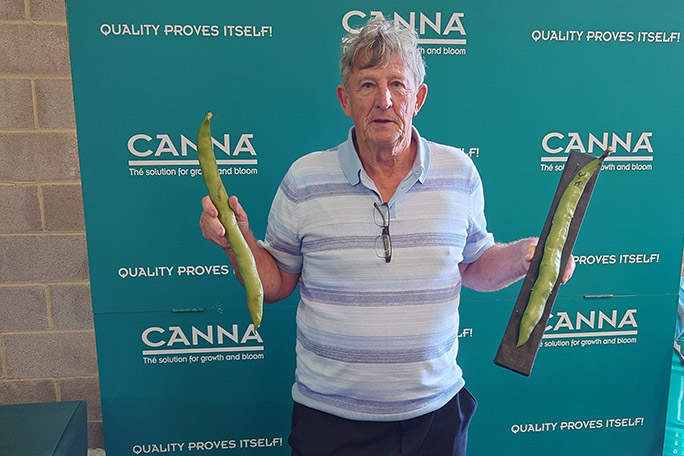 longest broad bean pod, grown by James Brown