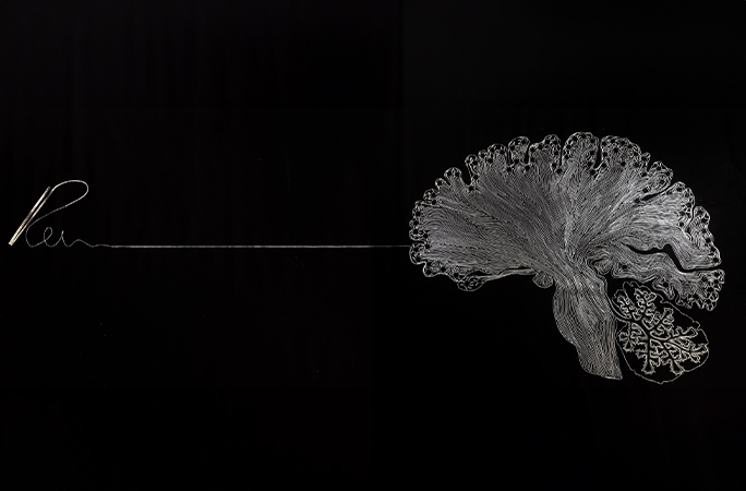 Artwork Between Chaos and Order