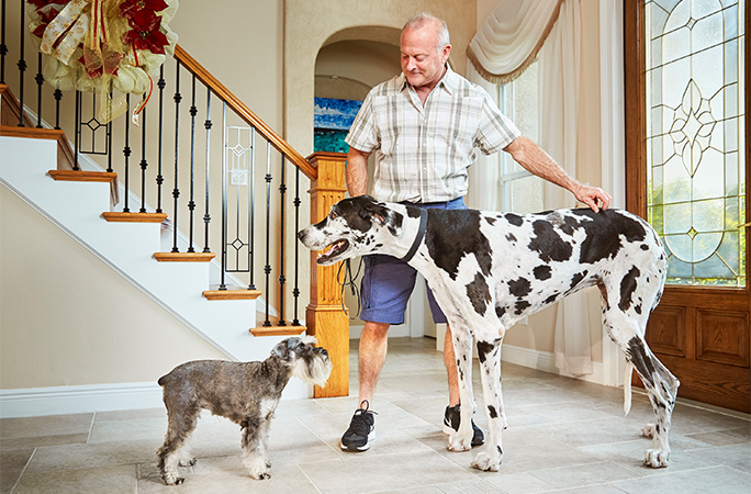 Tallest female dog Lizzie