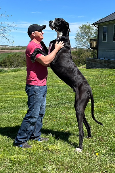 Tallest dog Kevin standing on his hind legs