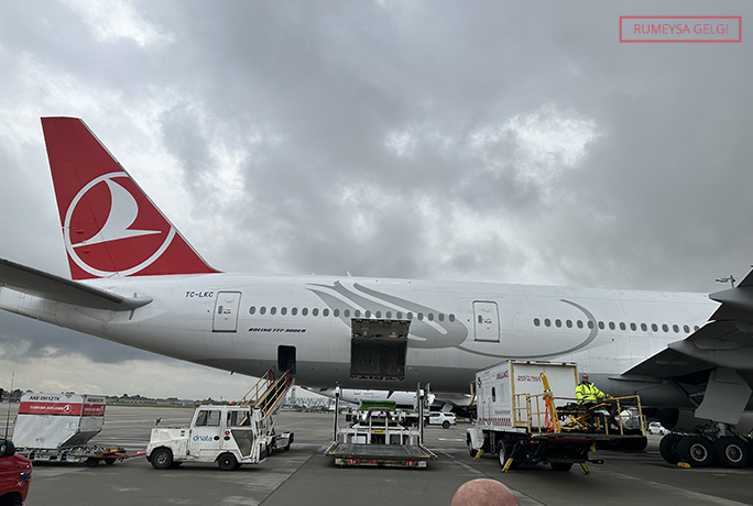 Rumeysa's view of the plane