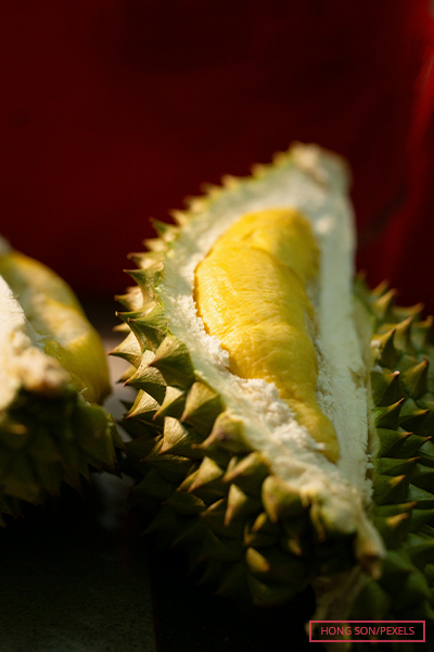 Close up of a cut open Durian fruit
