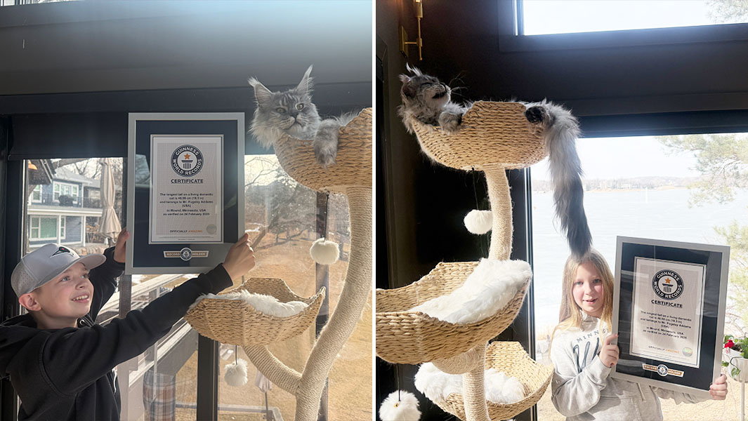 Pugsley celebrating his record with his human siblings