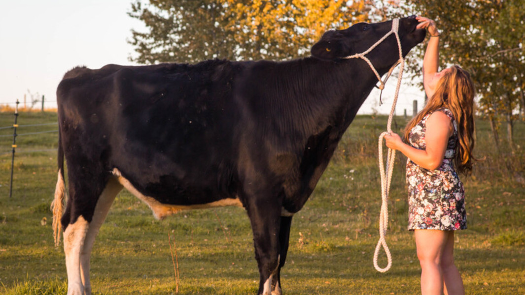 A picture of Beef next to a person, showcasing his tall height.
