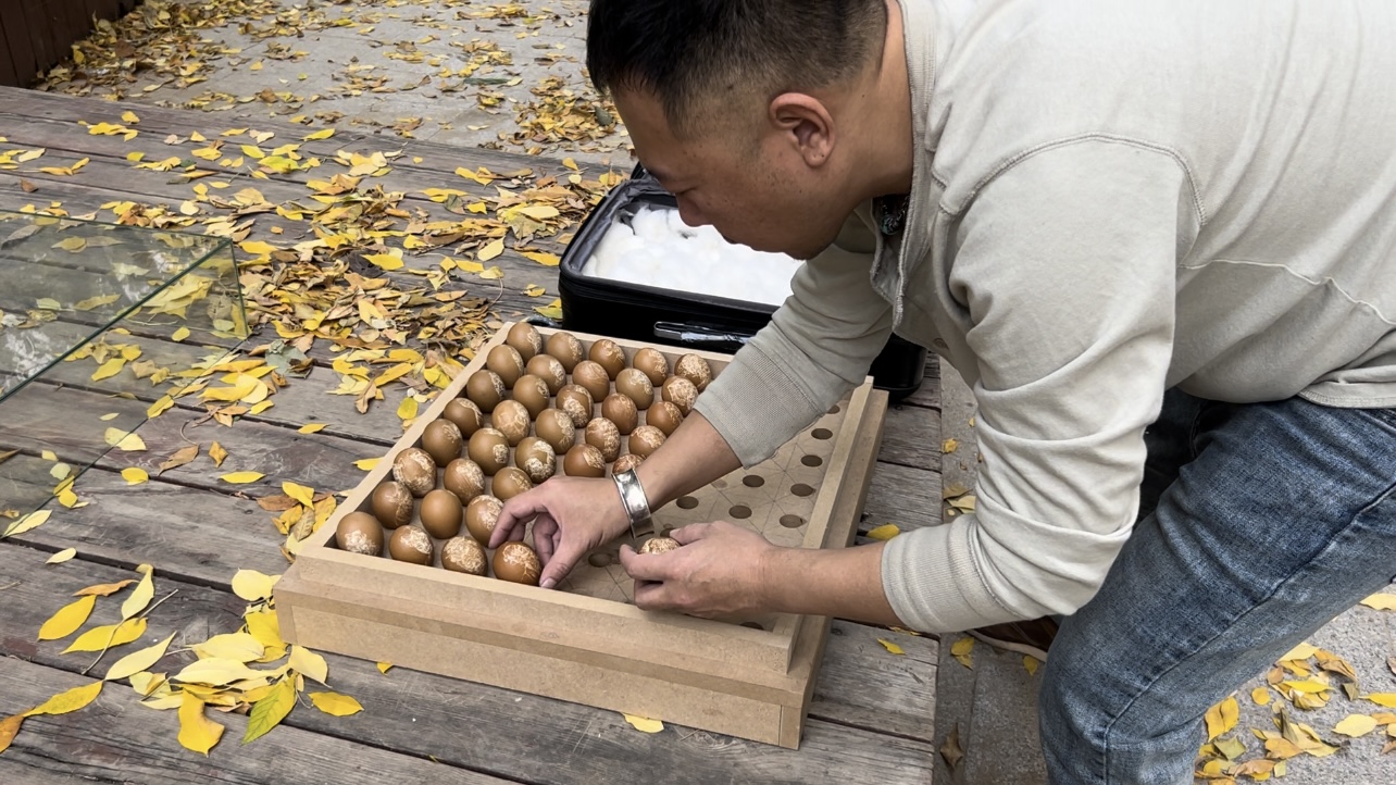 machao-listing-all-the-eggshells