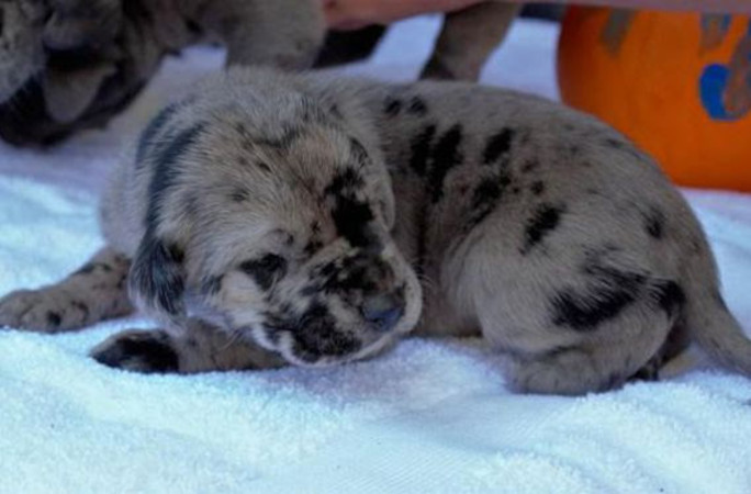 Baby Reggie sleeping