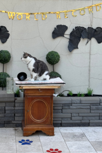 Oscar after winning his record