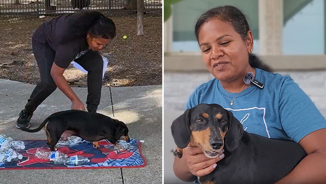 split image of Jerry removing a bottle cap and with his owner Sathya