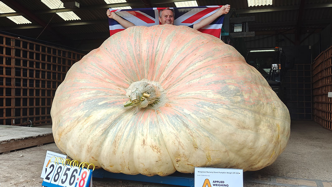 heaviest-pumpkin-bagheera-with-ian-paton-and-his-granddaughter