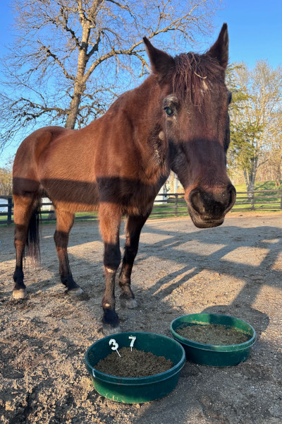 Fancy on her 37th birthday