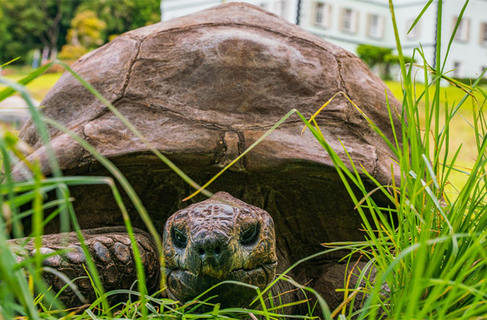 Jonathan in the grass