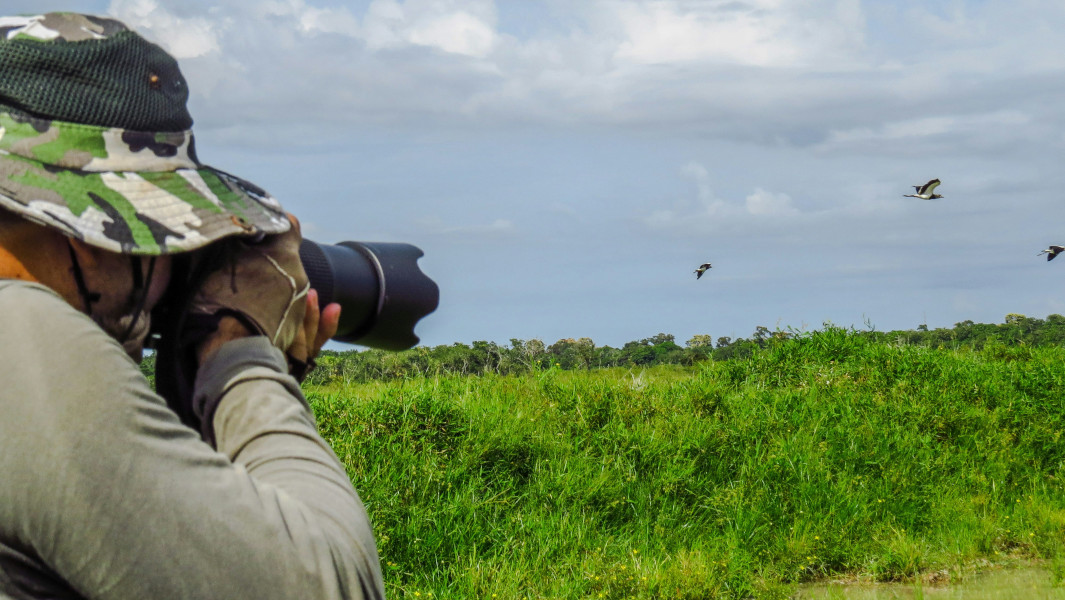 Stock image of a photographer taking an image of birds in flight