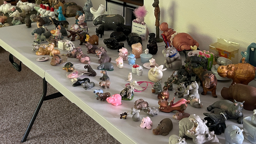 Split image of Sheri itemizing her collection, and some of her hippos lined up