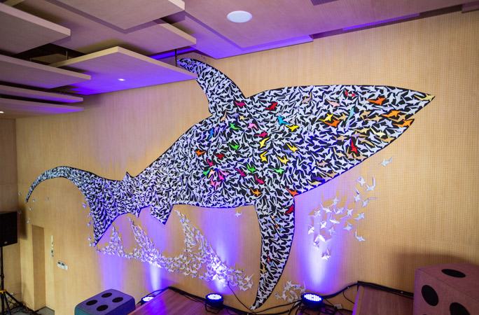 Largest display of origami sharks