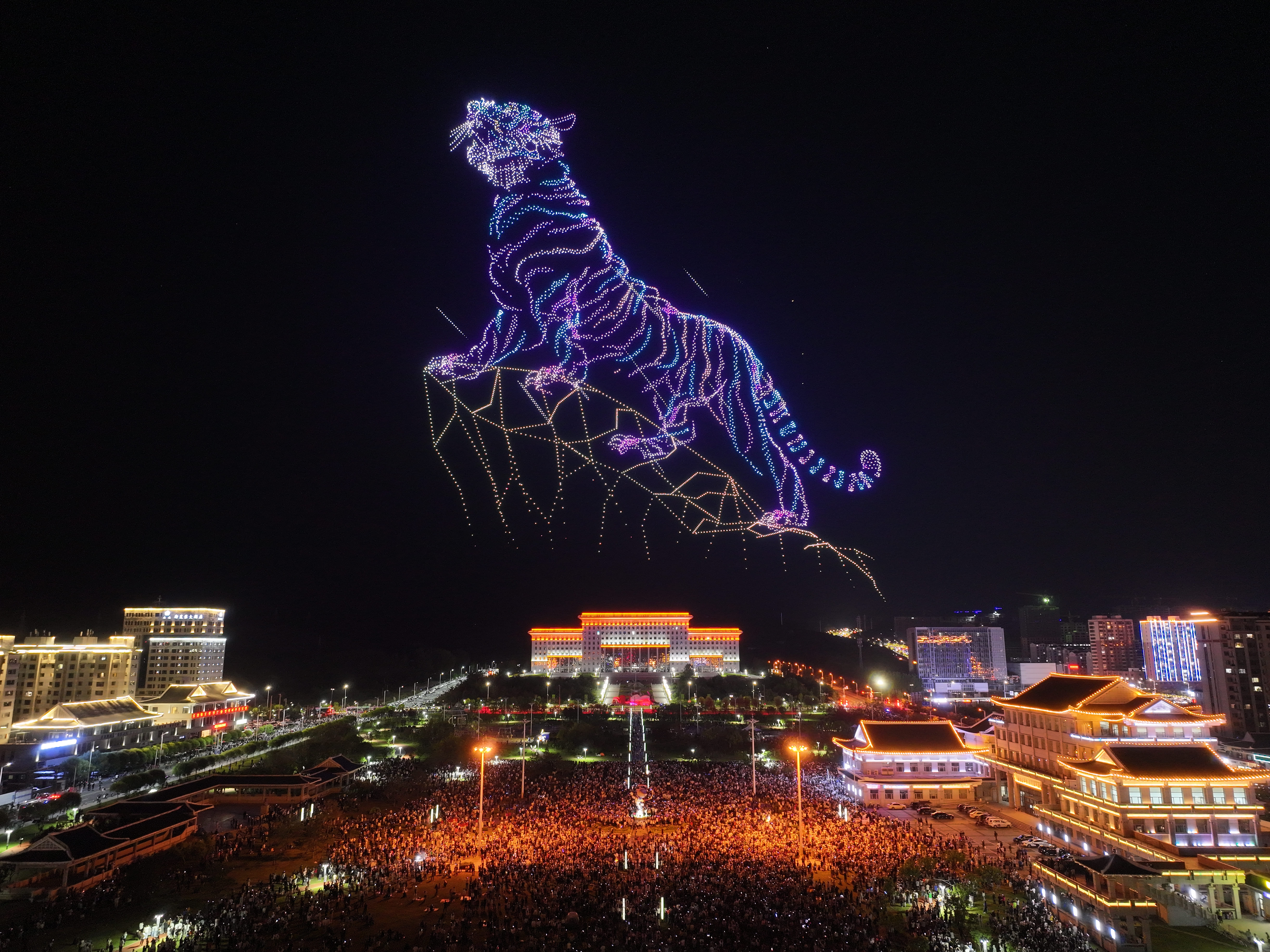 image of a tiger standing on a hill formed by drones