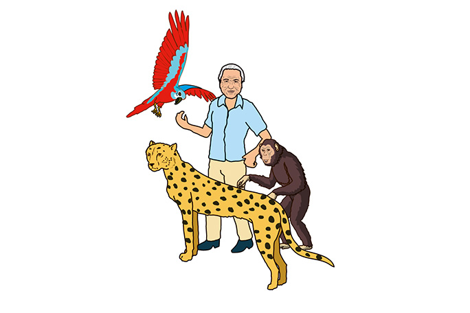 Illustration of David with leopard, bird and a monkey