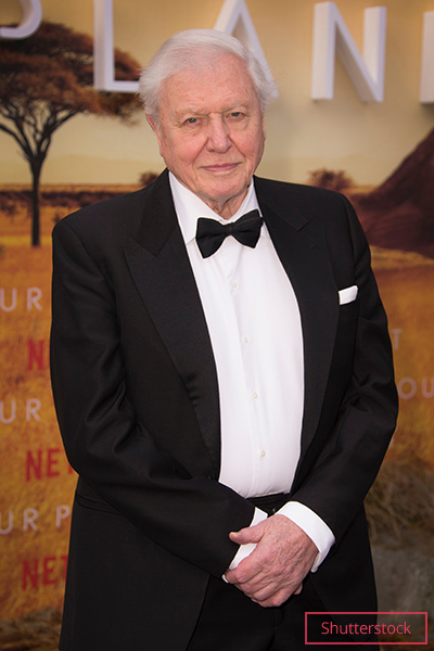 Attenborough in a suit attending the premiere of A Life on Our Planet