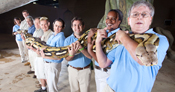 Longest snake in captivity being held by people