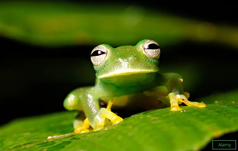 Biome with the greatest biodiversity