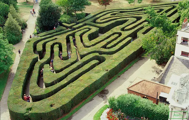 Oldest hedge maze