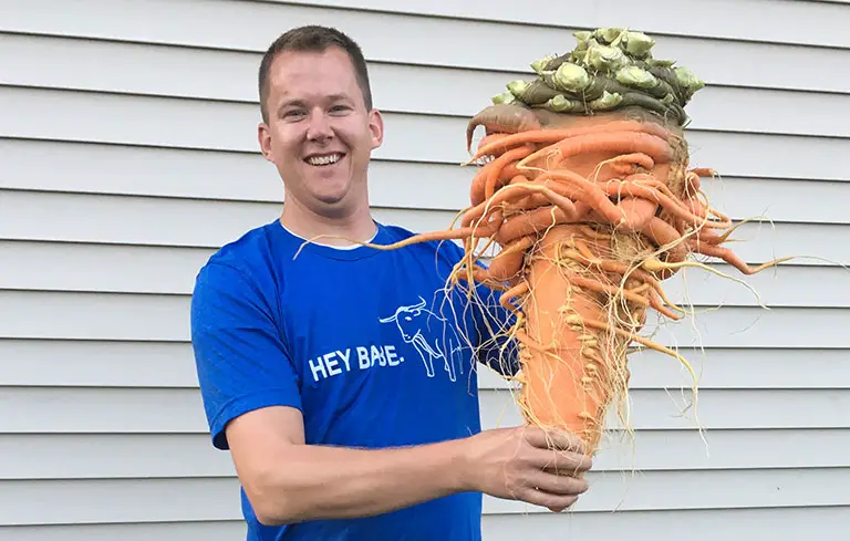 Heaviest carrot