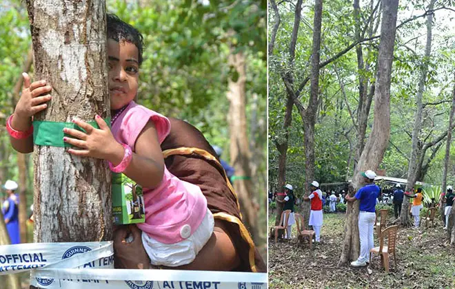 Largest tree hug